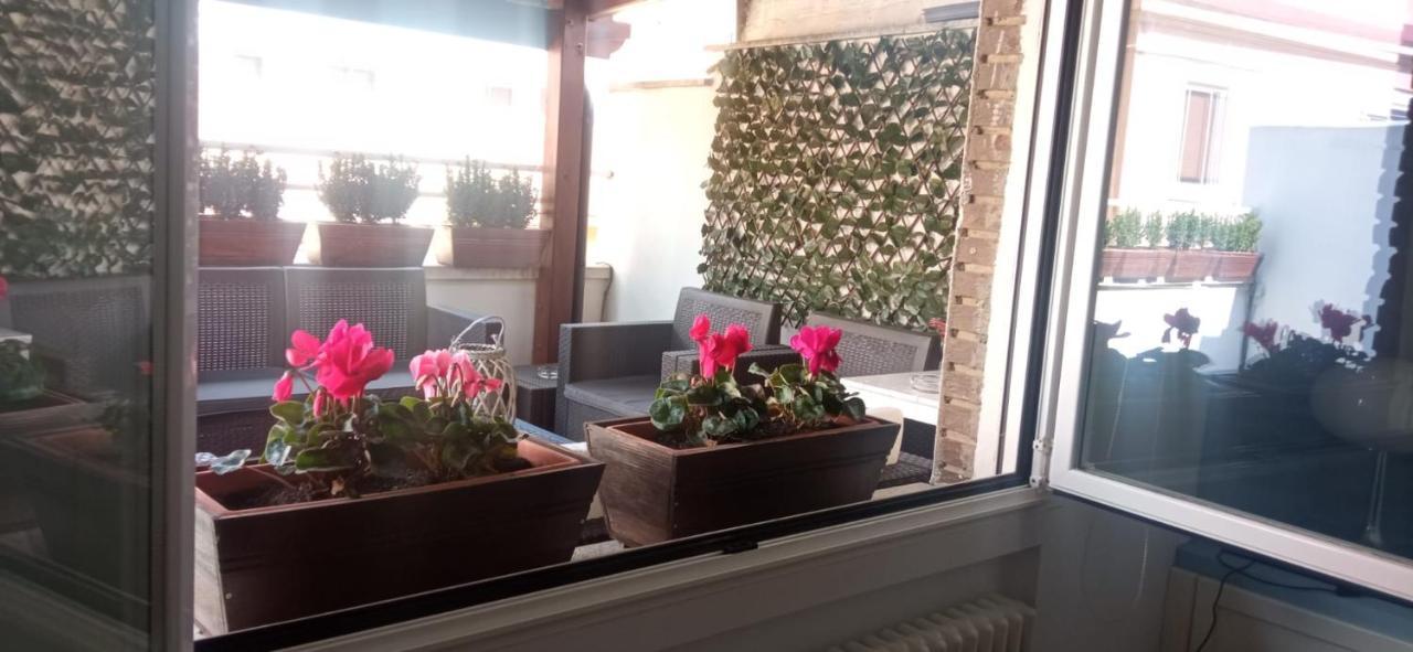 La Terraza De Los Infantes 사모라 외부 사진